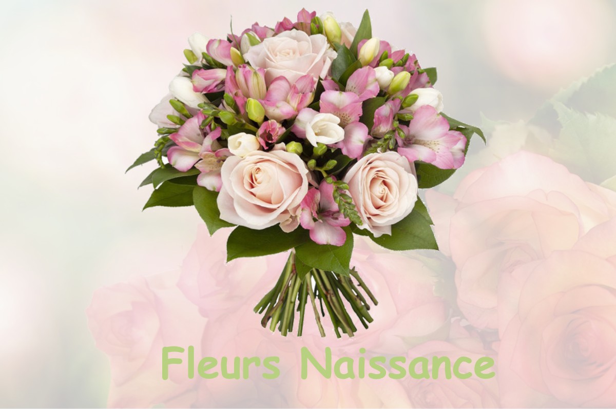 fleurs naissance DRAMELAY