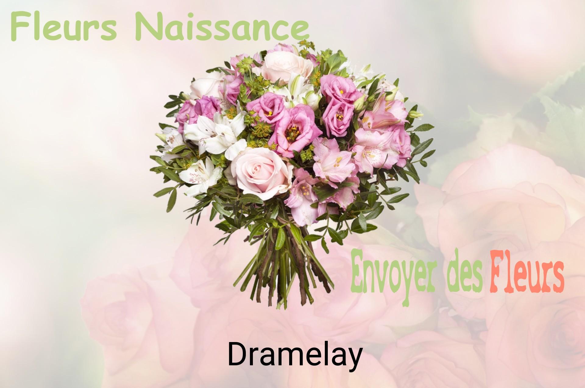 Bouquet de fleurs de naissance livré à Dramelay