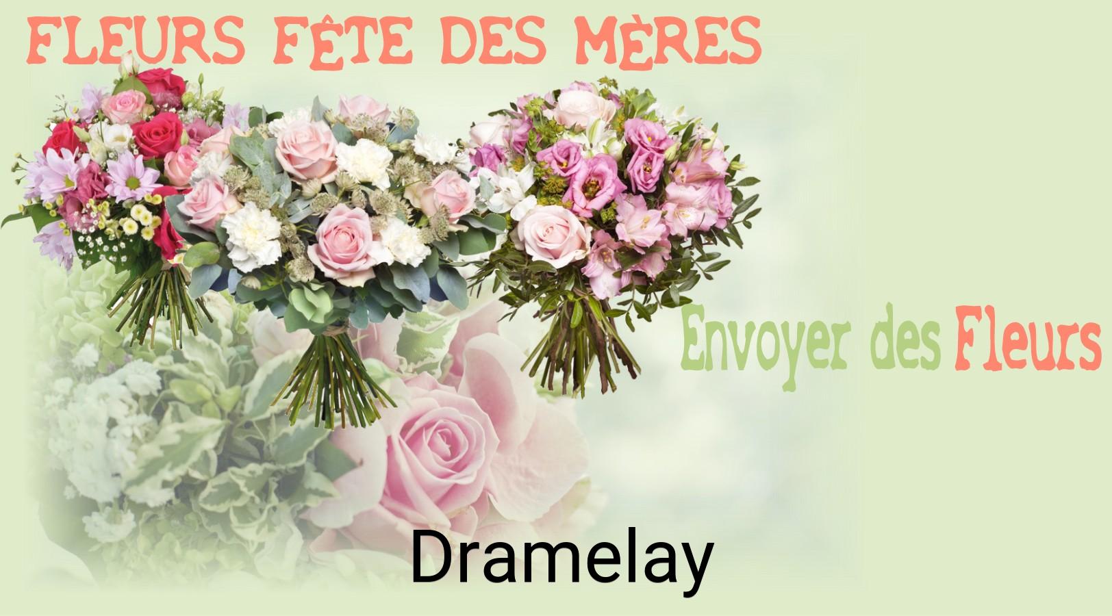 Bouquet de Fête des Mères livré à Dramelay