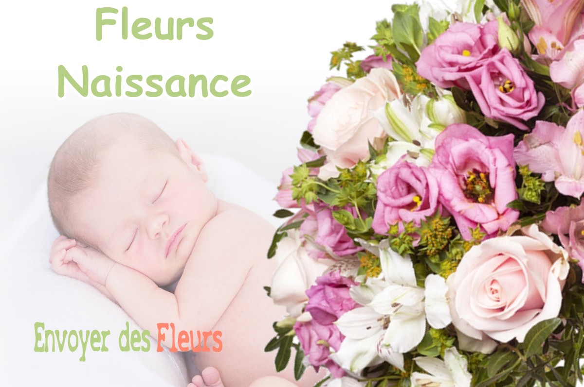 lIVRAISON FLEURS NAISSANCE à DRAMELAY