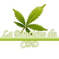 LA BOUTIQUE DU CBD DRAMELAY 